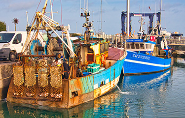 French scallop vessels.