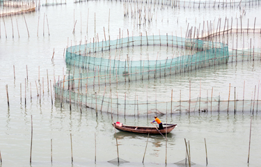 Drop Fishing China Trade,Buy China Direct From Drop Fishing Factories at