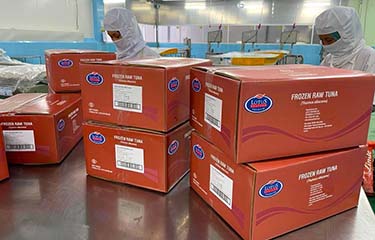 Lotus seafood frozen raw tuna boxes.