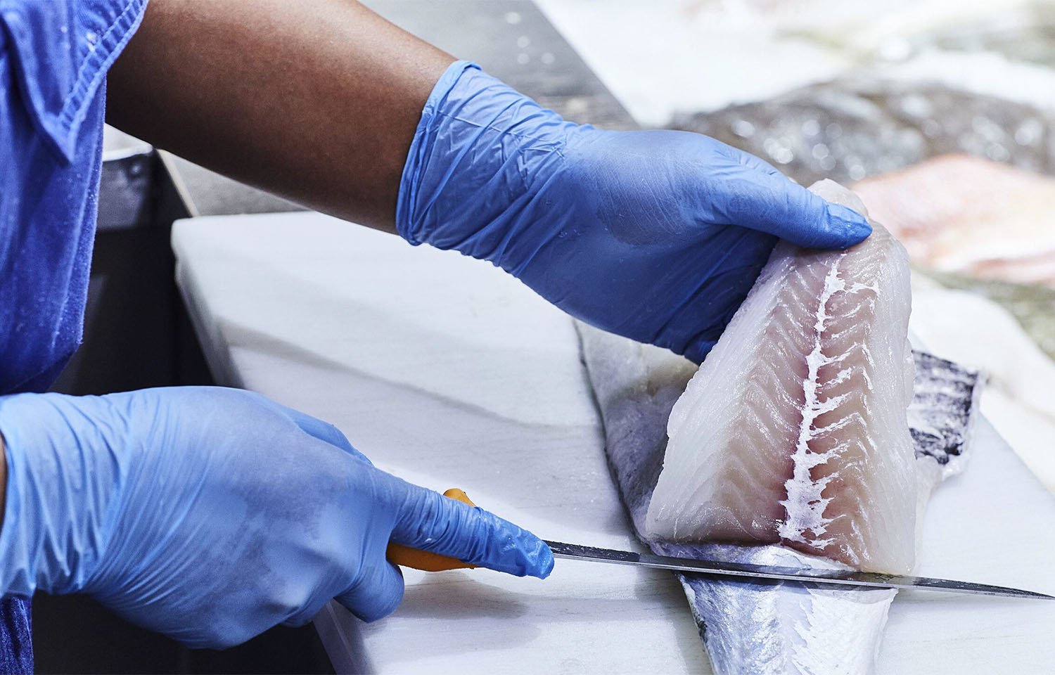 A Norcod employee processing the company's farmed cod
