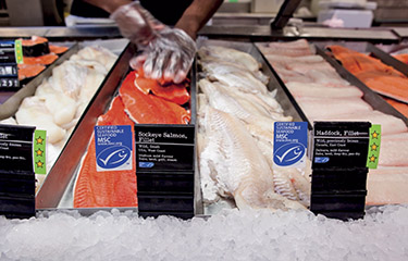 Marine Stewardship Council-certified seafood for sale at Loblaws.