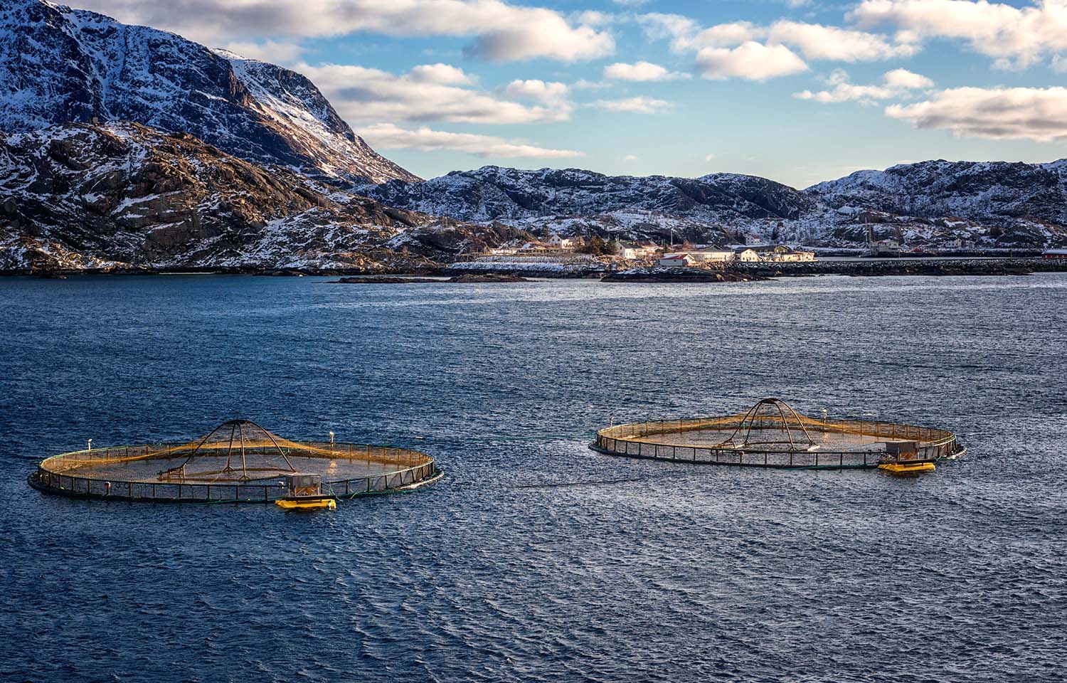 A salmon farm in Norway's Lofoten Islands