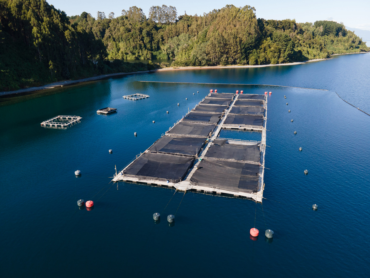 Salmones Camanchaca net pens on the water