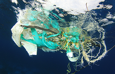 Plastic pollution from aquaculture less than that from fishing