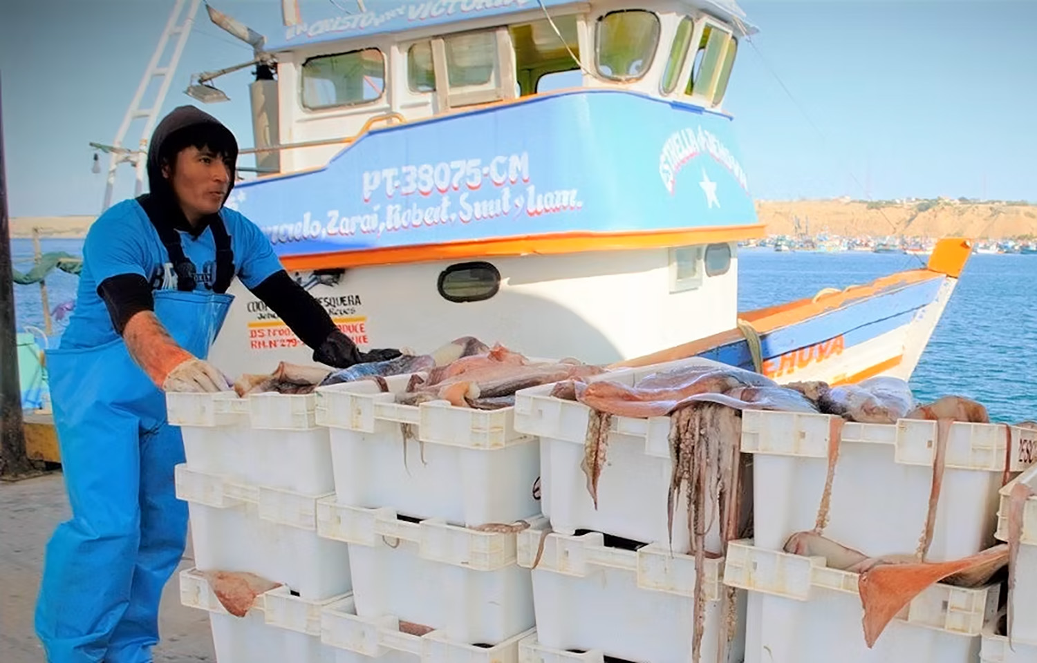 Over 50 organizations unite in call to contain China's unrestricted squid-fishing fleet