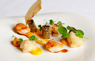 scallops Ireland NL.jpg