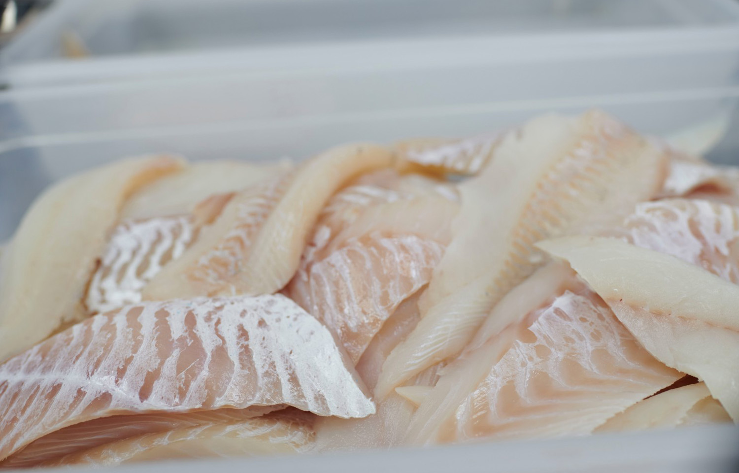 Cod fillets