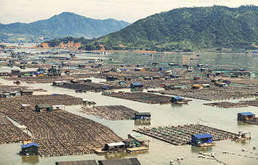 Aquaculture operations in Fujian, China.