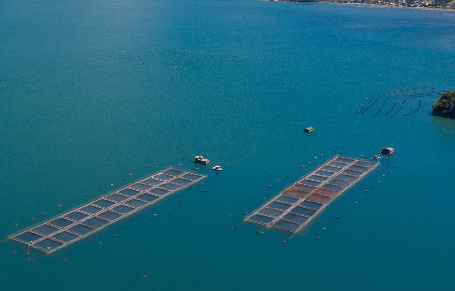 A salmon farm in Chile.