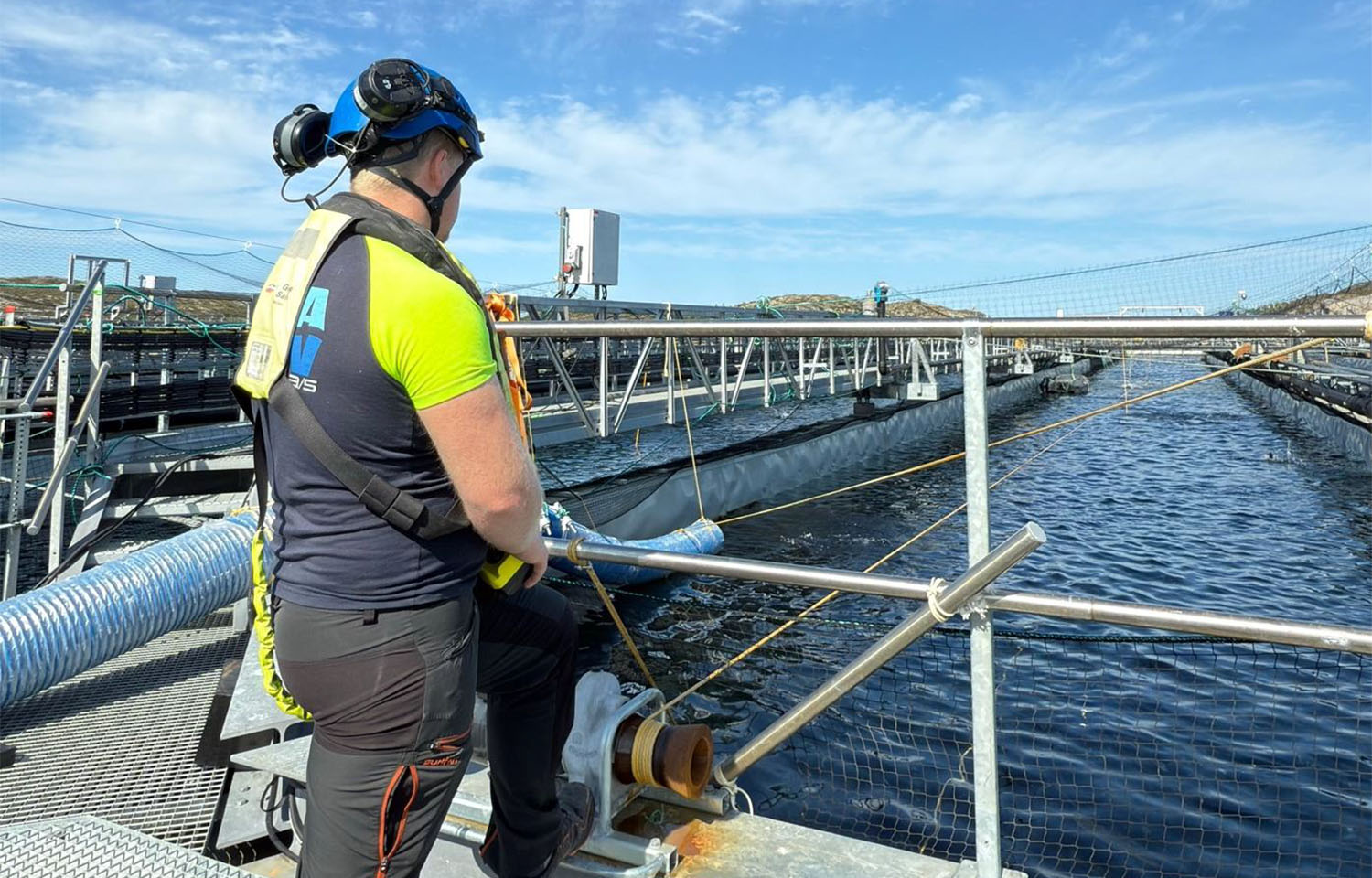 A Gigante Salmon worker looking at one of the company's salmon tanks