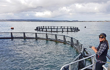 An example of aquaculture in Western Australia.