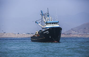 An anchovy fishing boat in Peru.