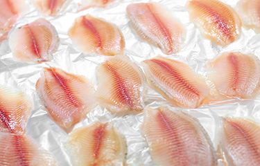 Pangasius fillets.