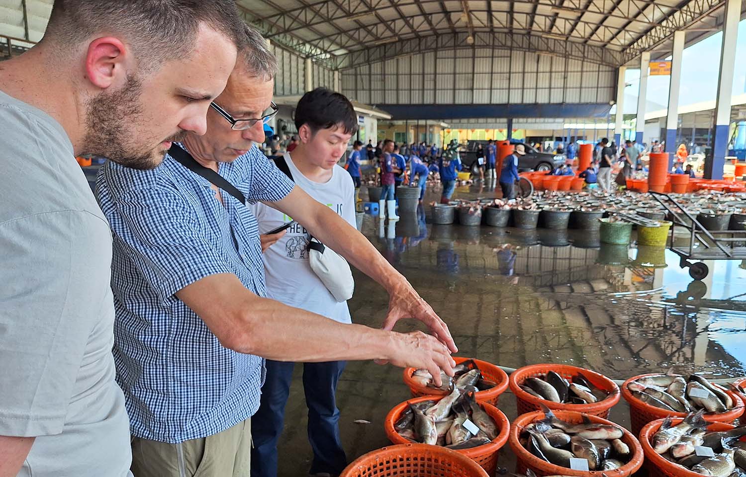Dr. Timothy Wiese, Professor Dave Little, and Arnan Hirunratanakorn in a fish market in Thailand