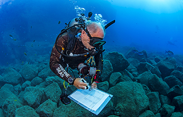 A diver in Revillagigedo National Park.