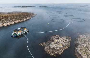One of SaMar's central-Norway based salmon farming locations.