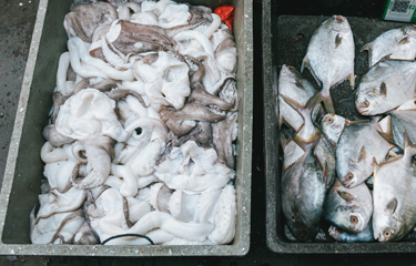 Squid for sale in Xiamen, China.