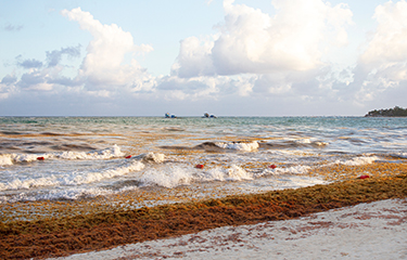 A beach on the U.S. Gulf of Mexico.
