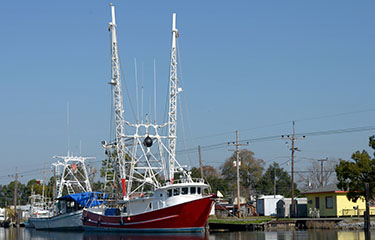 Gulf of Mexico shrimp boats.