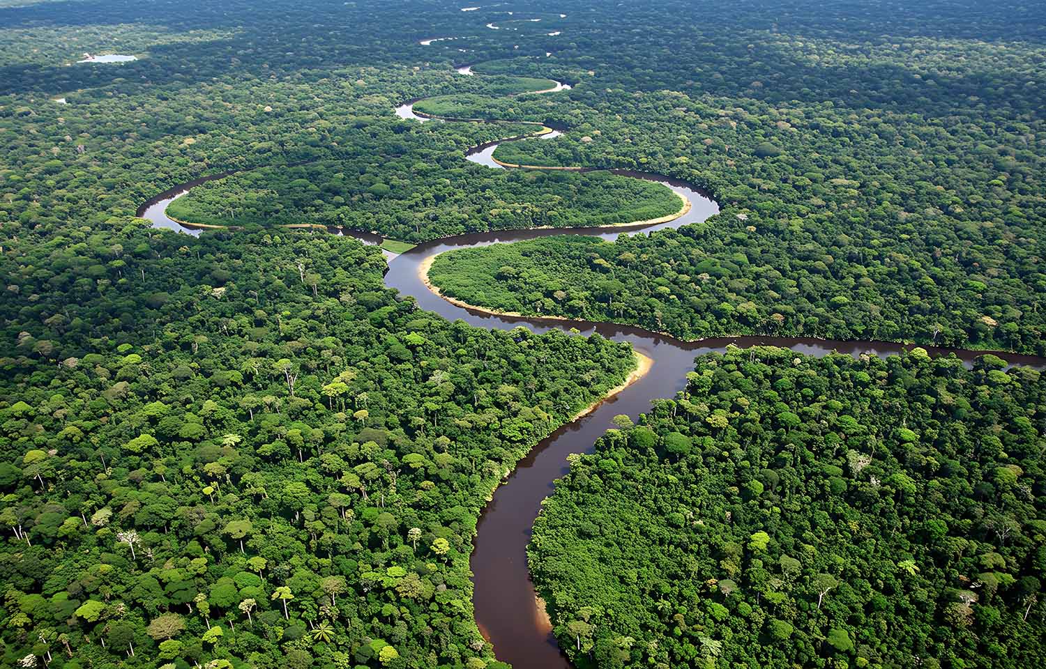 Study finds that harvesting fewer fish would require more land use to make up protein gap, leading to loss of biodiversity