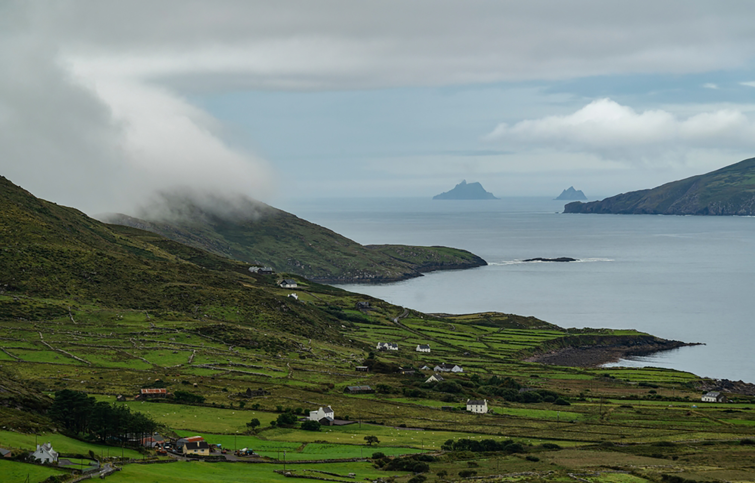 Irish NGO goes to High Court seeking discontinuation of Mowi salmon license