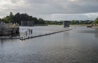 Irish government warns Pacific pink salmon overwhelming wild Atlantic ...