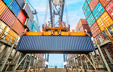 Shipping container with a crane
