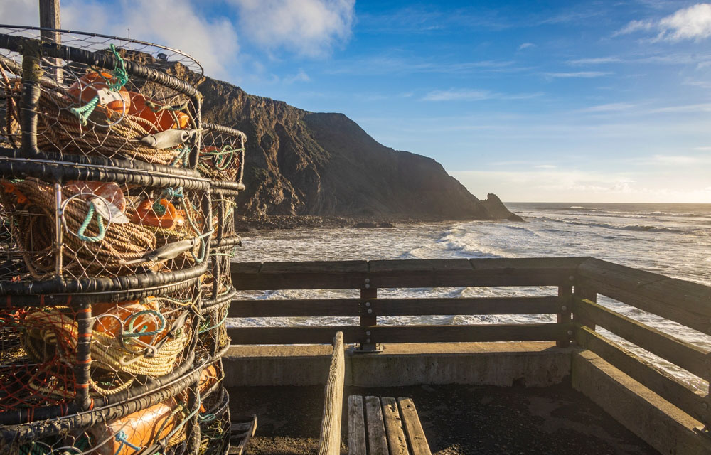 California state senate passes Dungeness crab bill with multiple changes in fishery management
