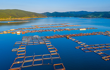 An aquaculture farm in Bulgaria