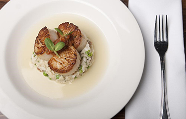 scallop japan NL.jpg