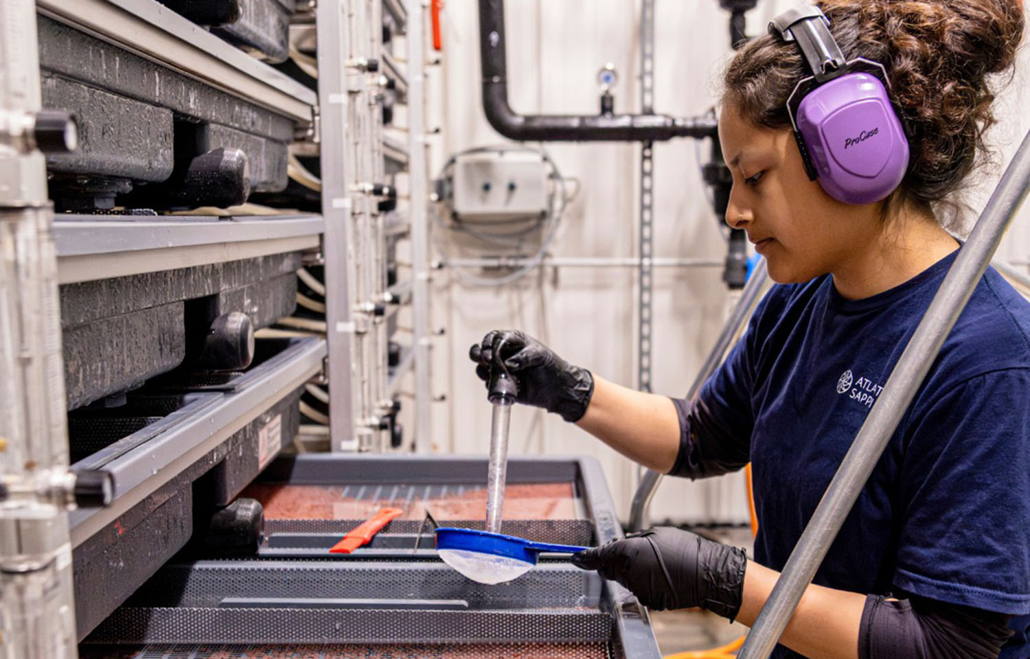 An Atlantic Sapphire employee caring for the company's salmon eggs