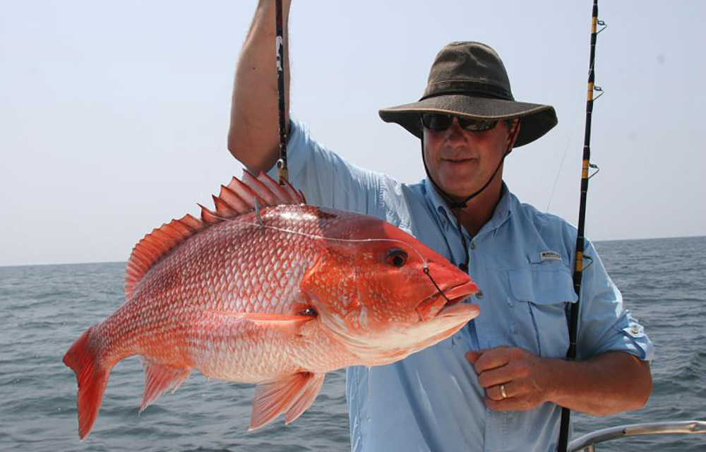 red snapper
