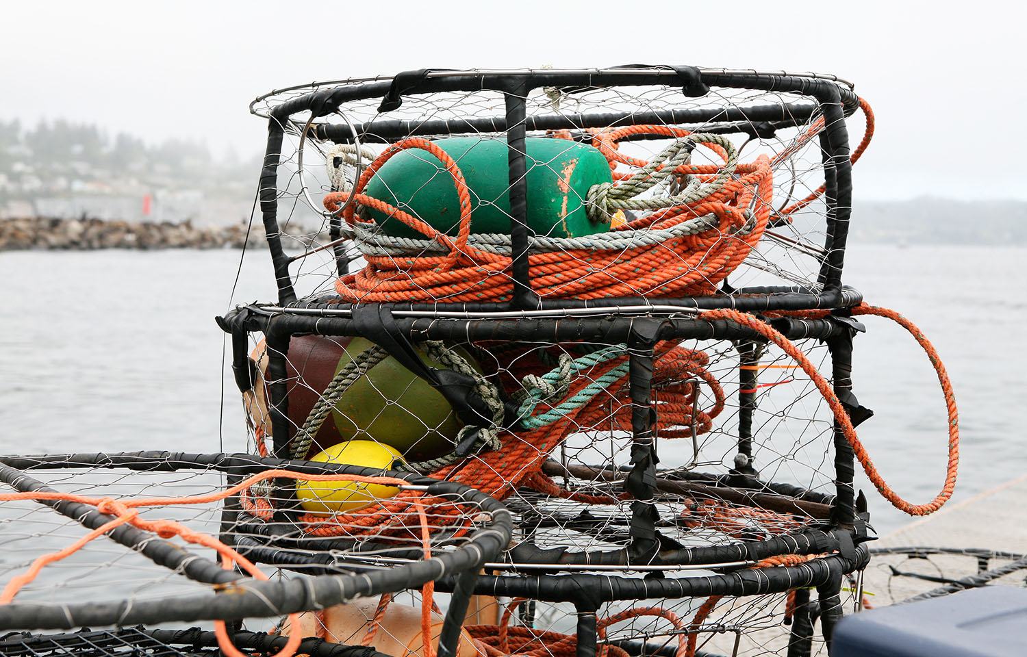 crab traps