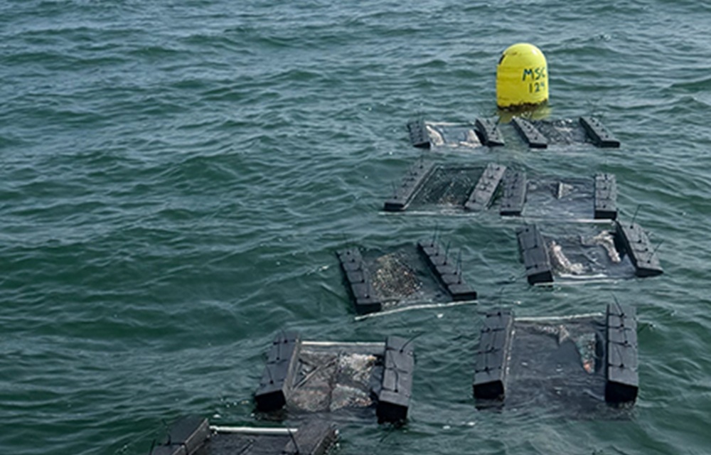 Maine law enforcement investigating theft of USD 20,000 in oysters, equipment