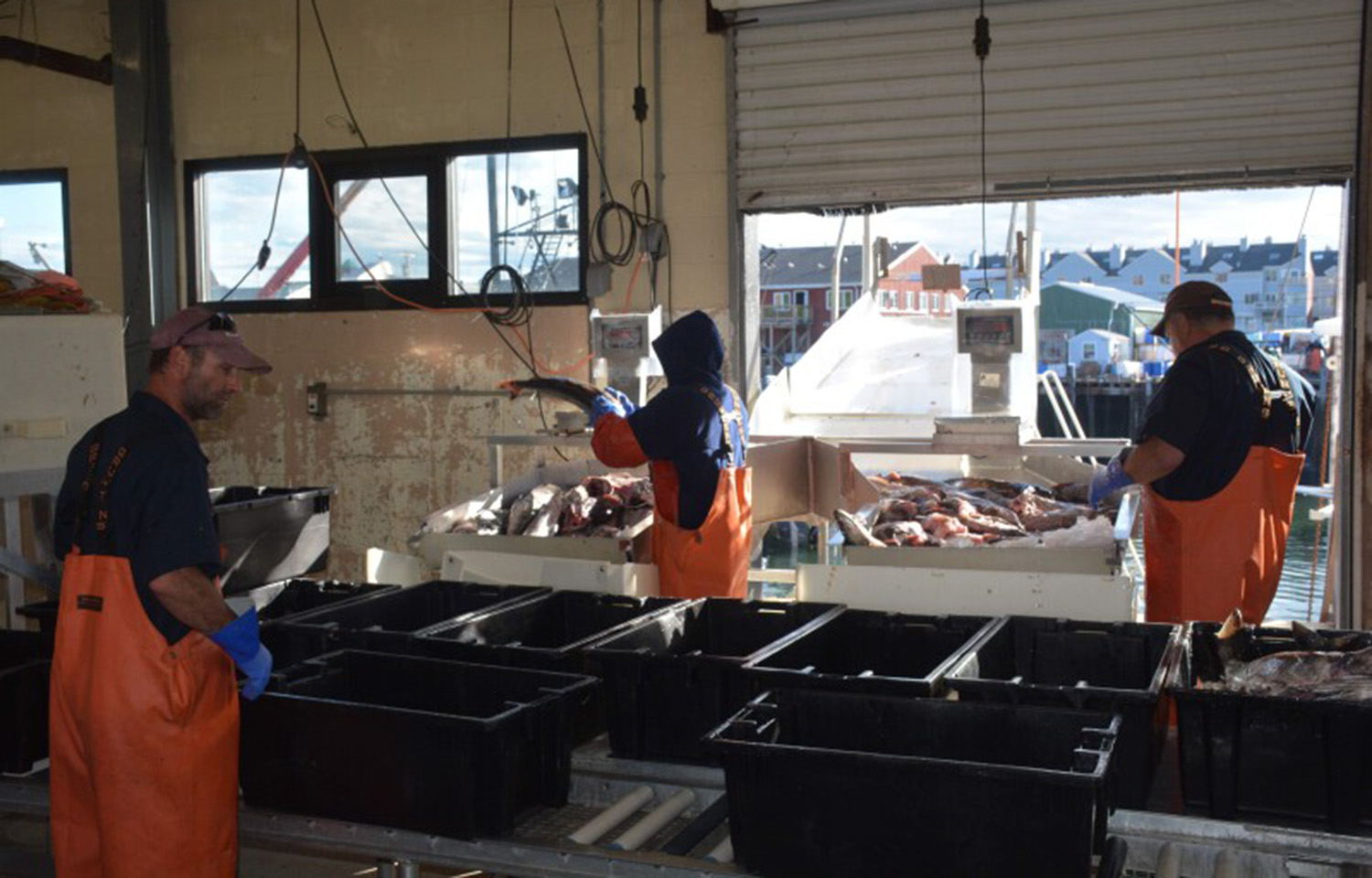 Maine's Portland Fish Exchange and Fish Pier Authority are merging.