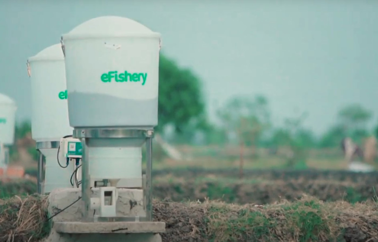 eFishery executive defends innocence as company under investigation for alleged inflation of finances