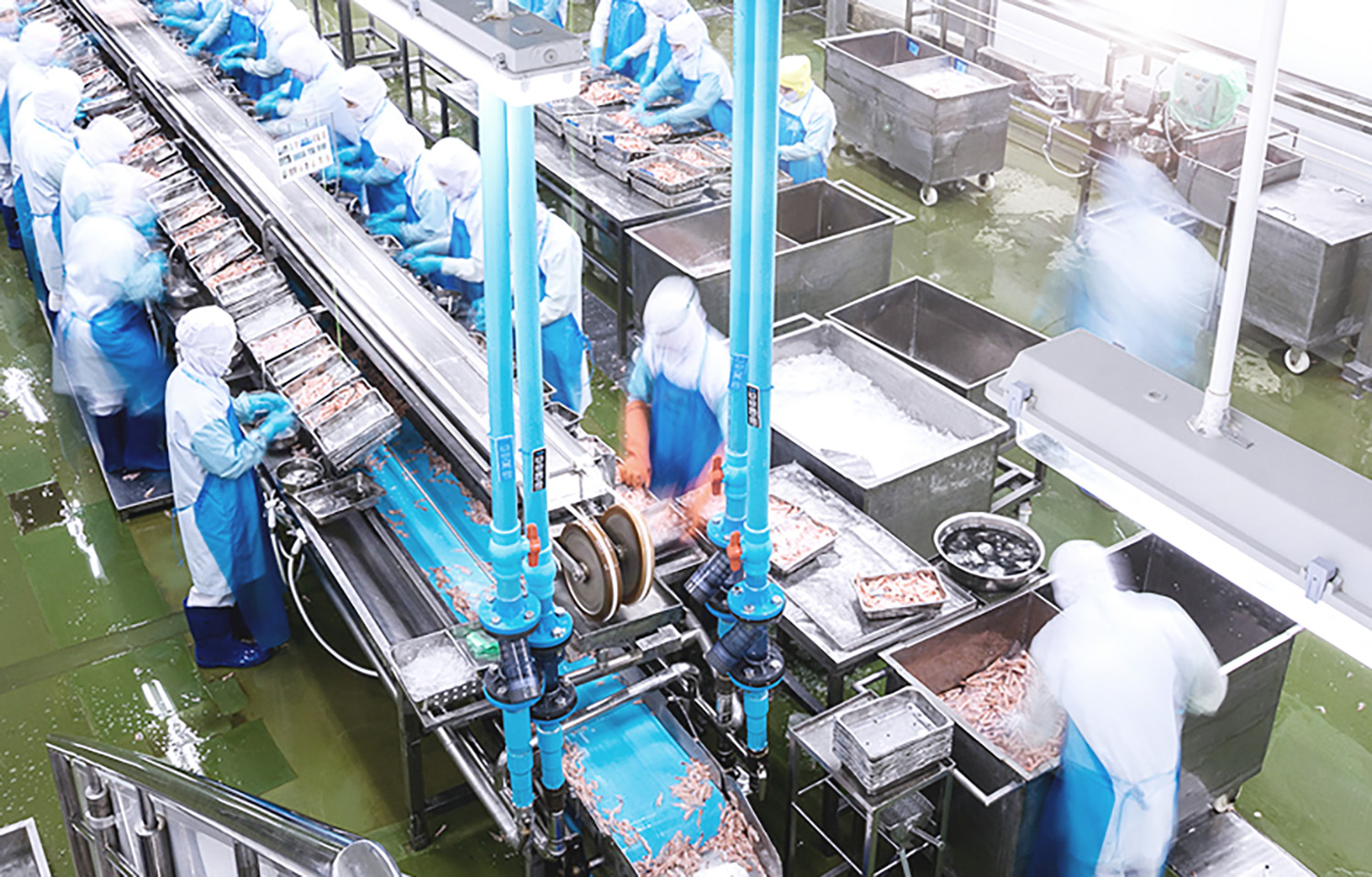 Thai Union’s Q4 2025 profitability dips under tariff pressure