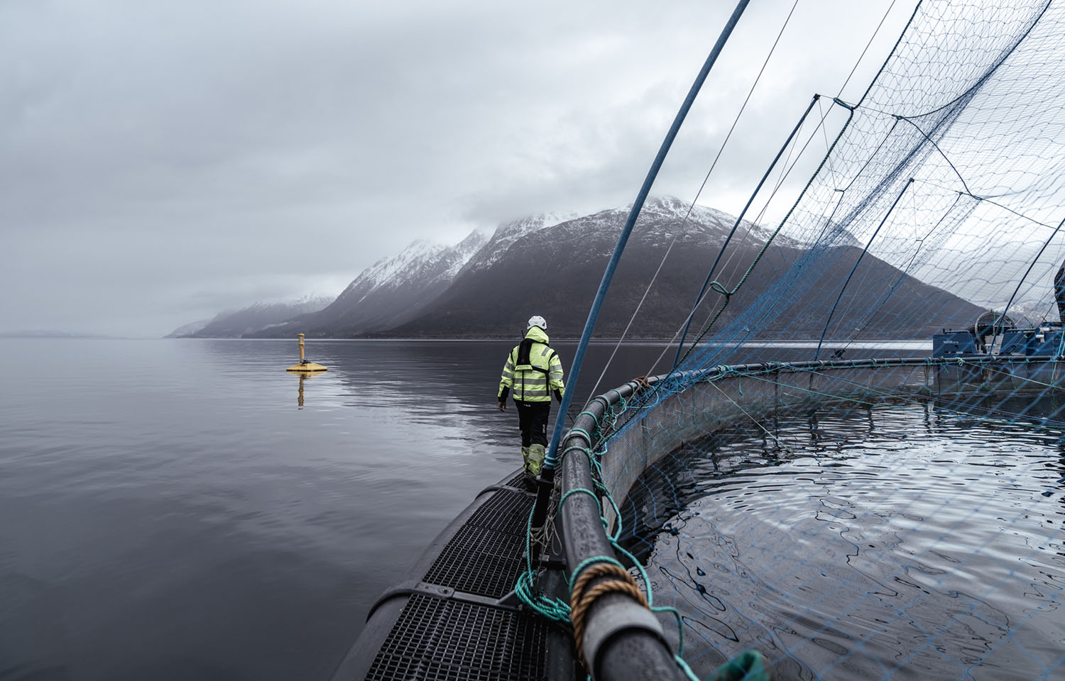 A Måsøval employee walks along the edge of a salmon net pen in Norway
