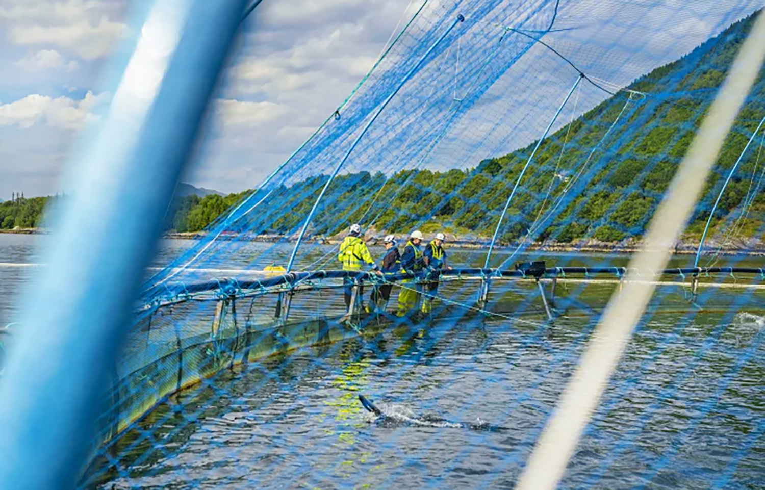 Måsøval employees standing on a net pen