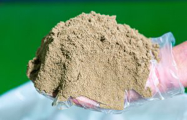 fishmeal.