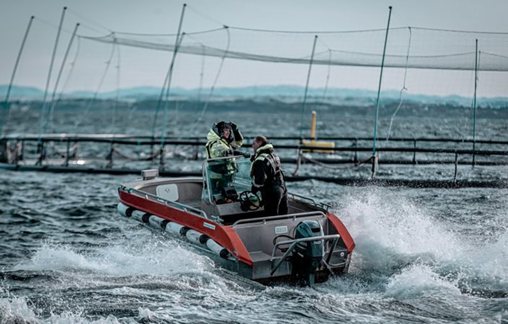 A boat outside of one of Måsøval's salmon net pens.