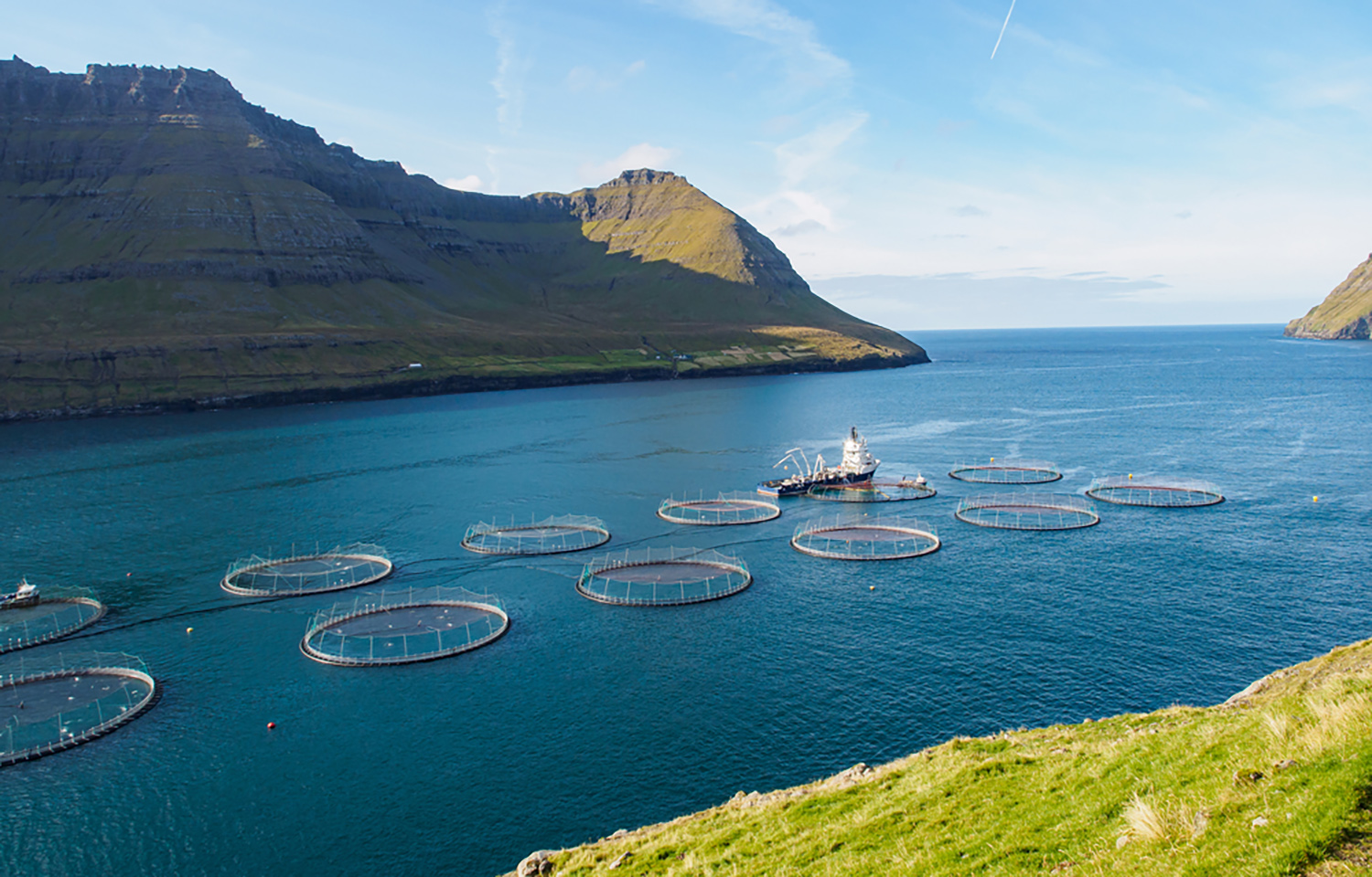 A fish farm in the Faroe Islands