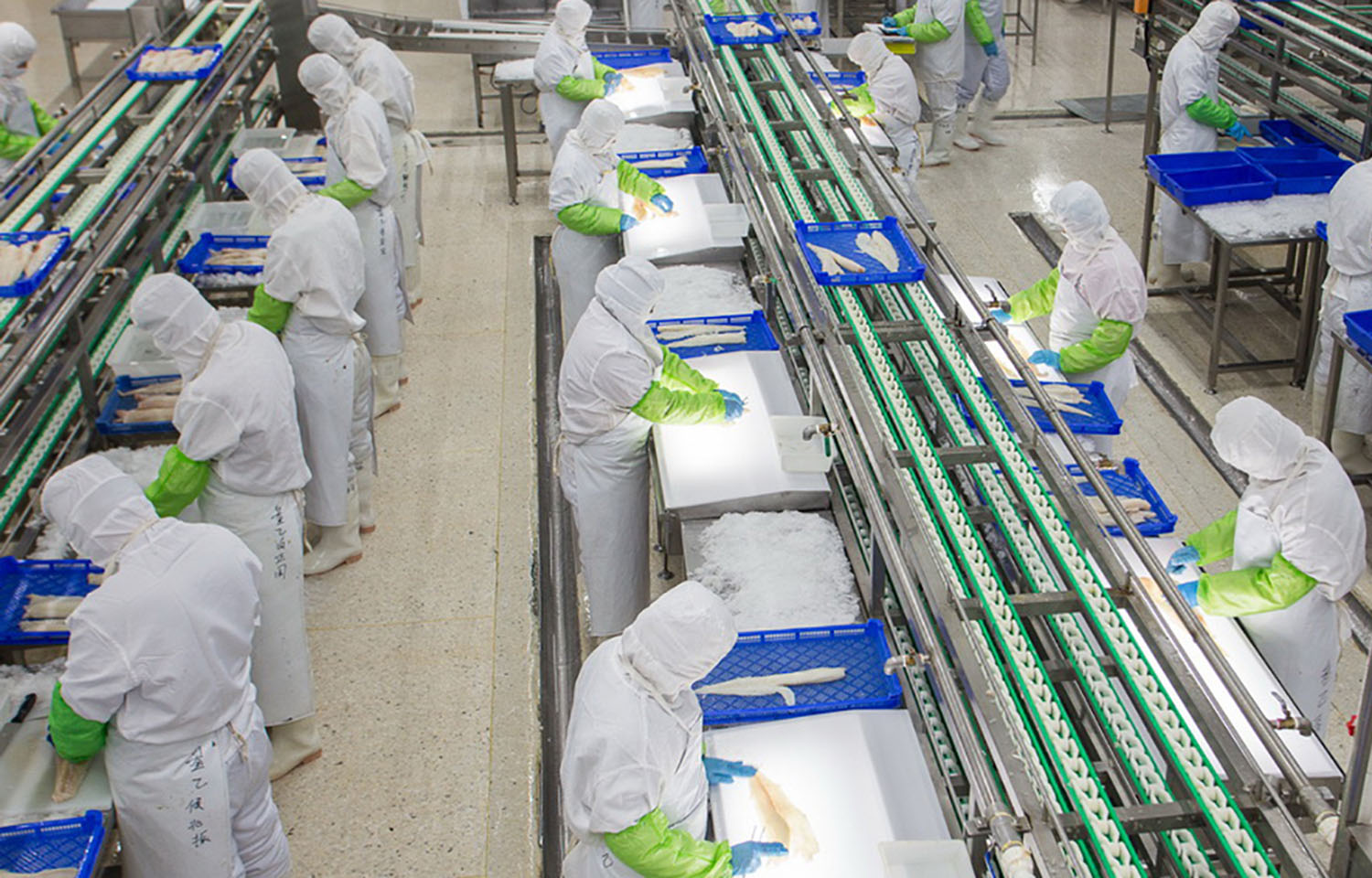 A Chinese seafood-processing operation