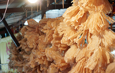 Totoaba bladders for sale in China.