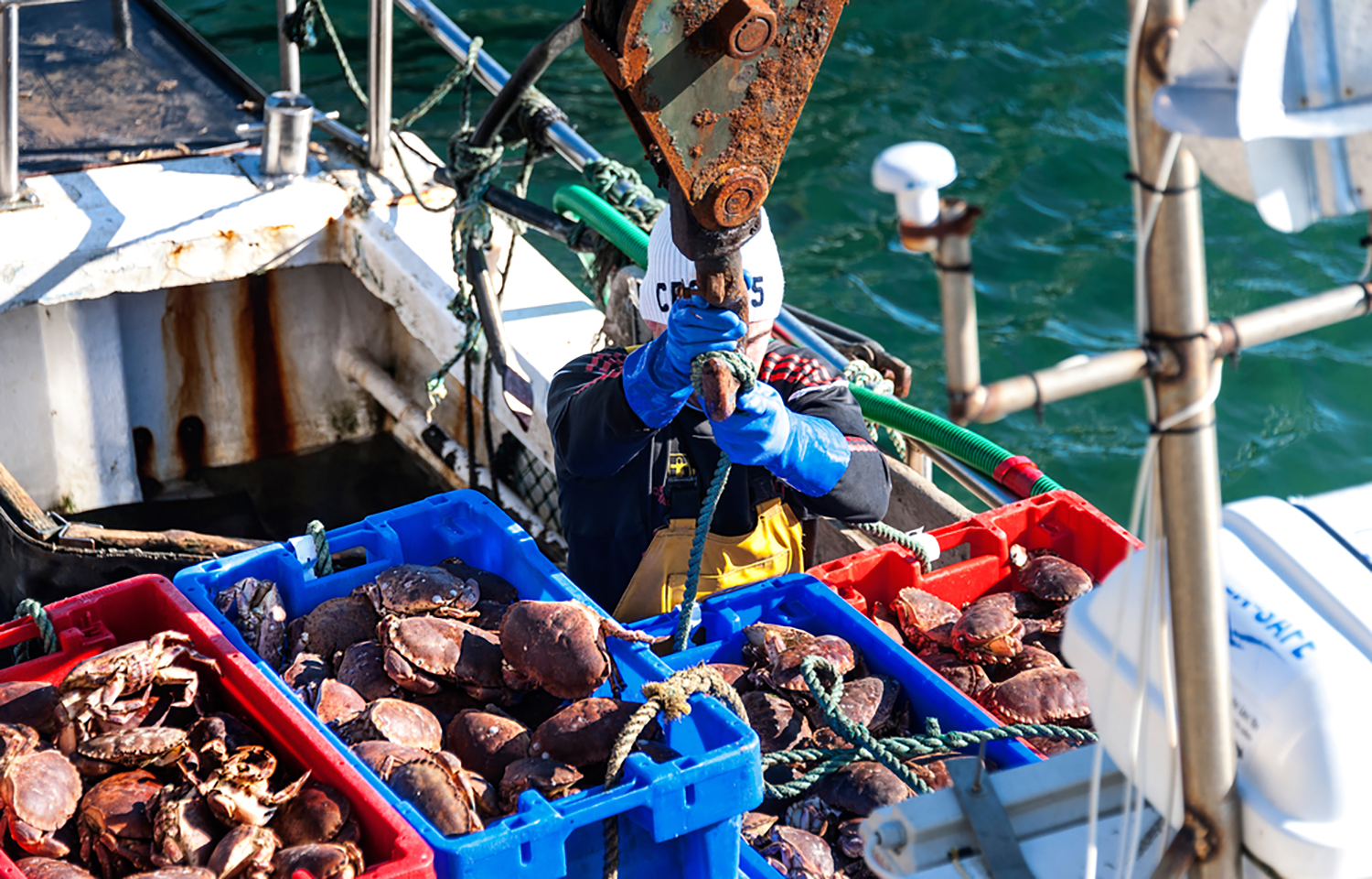 Irish seafood export totals spike in 2025, aided by increased shellfish shipments to China