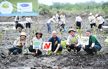 Employees from CP Foods and Nicherei restoring mangroves in Thailand.