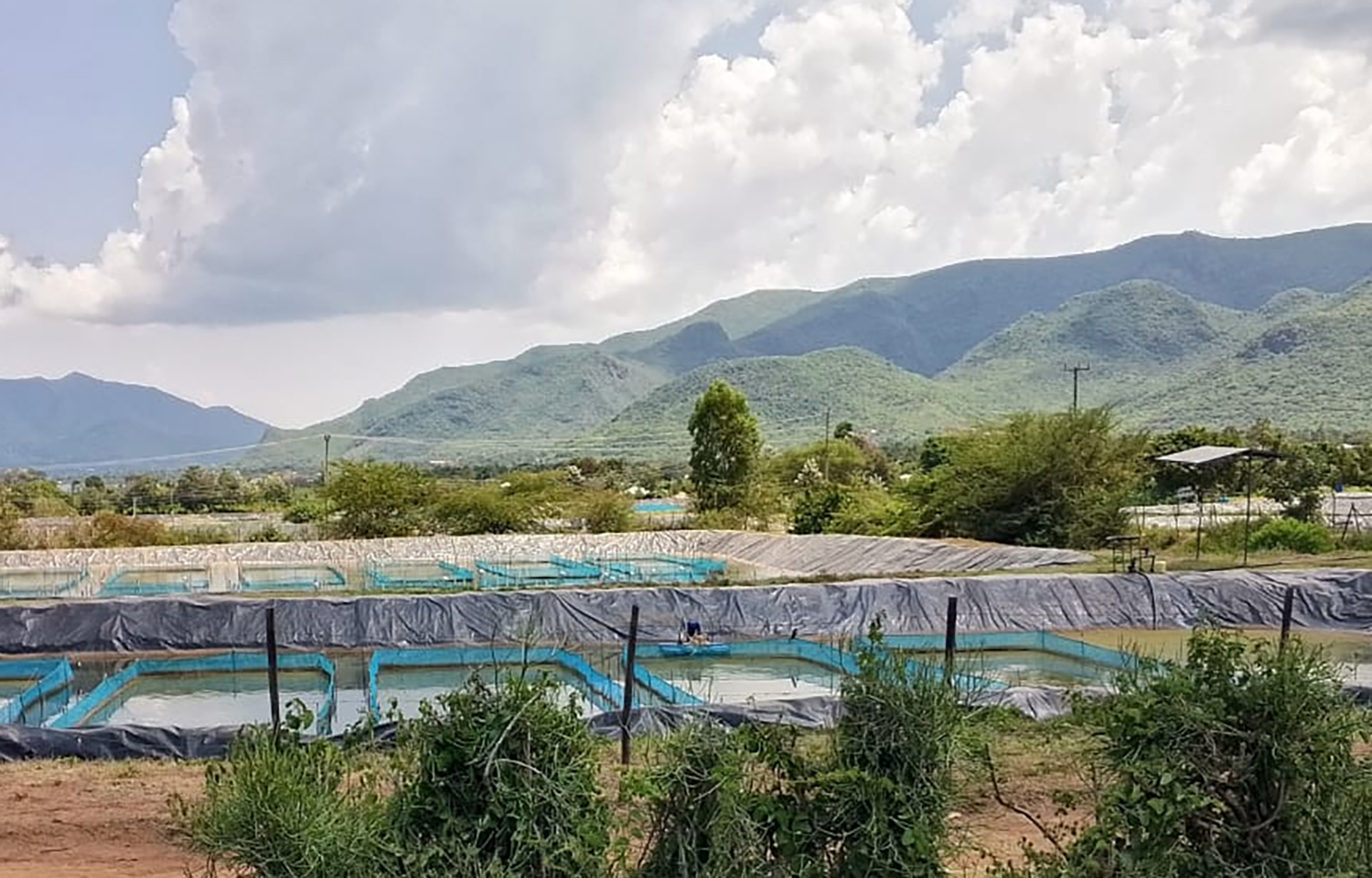 Victory Farms secures USD 15 million loan to carry out Lake Victoria aquaculture expansion plan