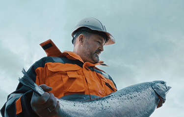 Salmon produced by Bakkafrost.