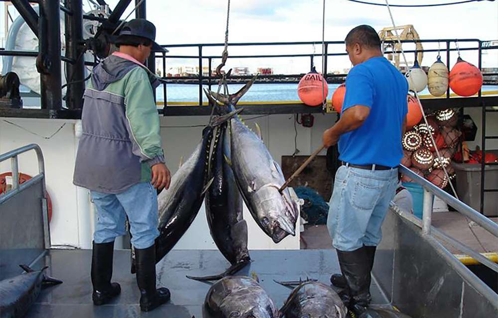 WPRFC approves mandatory electronic monitoring of longline vessels