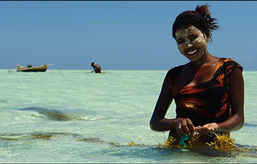 A woman in Tanzania farming seaweed.